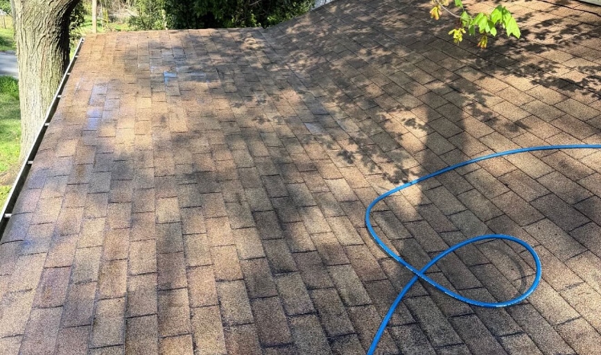 Roof Cleaning