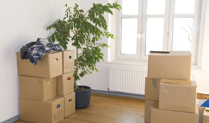 Hidden Treasure Dumpster Service