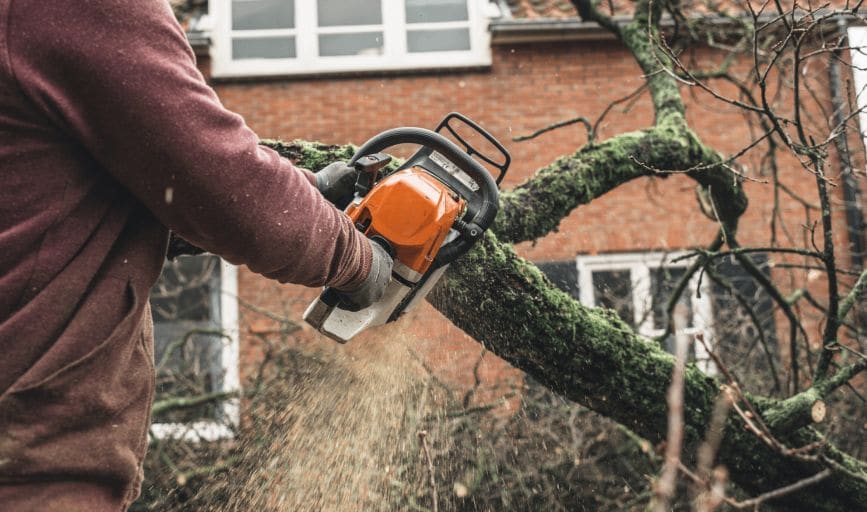 Recovery Tree Trimming and Landscaping