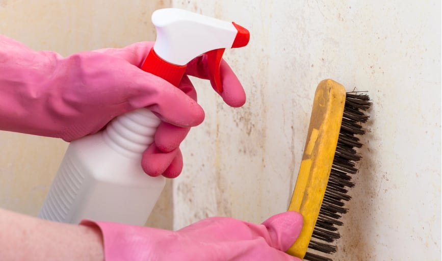 SoFresh SoClean Commercial Cleaning