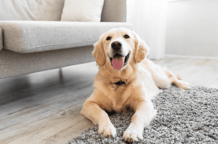 Flourishing Family Farm