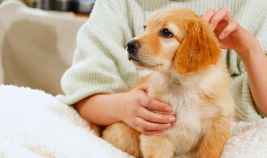 Flourishing Family Farm