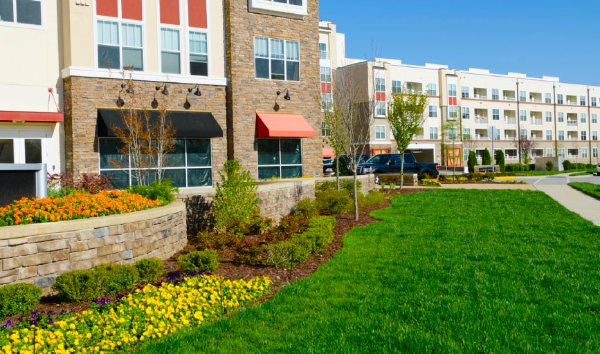Commercial Lawn Maintenance
