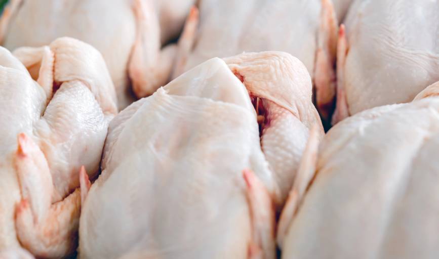 Angel’s Meat Market