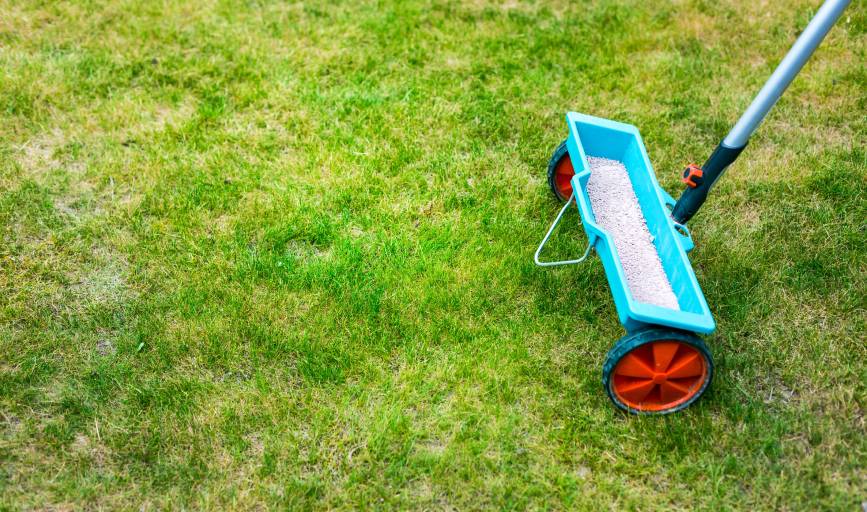 Lawn Fertilization