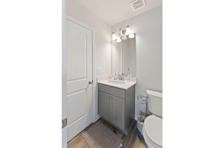 See Turtle Cleaning Services