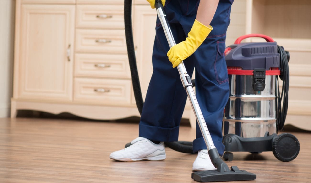 See Turtle Cleaning Services