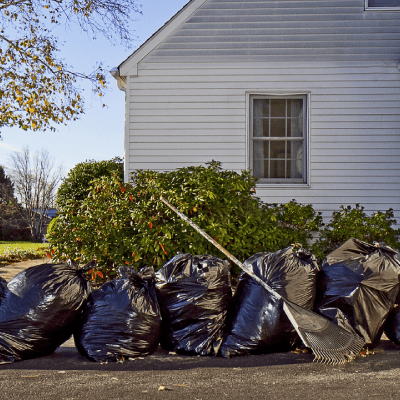Yard Cleanup