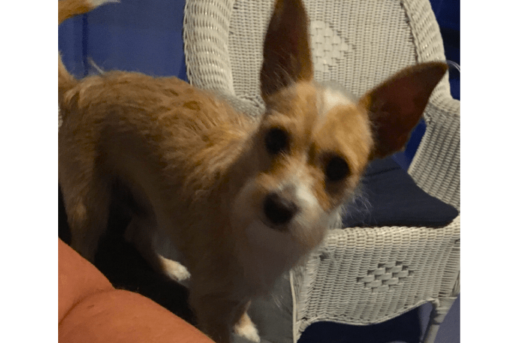 Rovers Rolling Daycare 