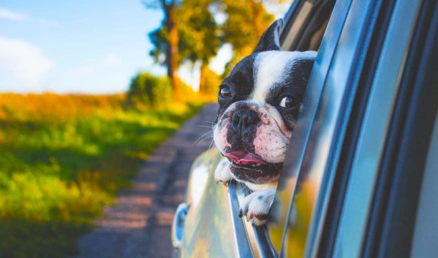 Rovers Rolling Daycare 