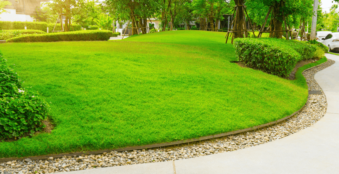 Blue Mountain Management