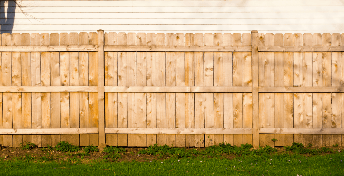 Blue Mountain Management