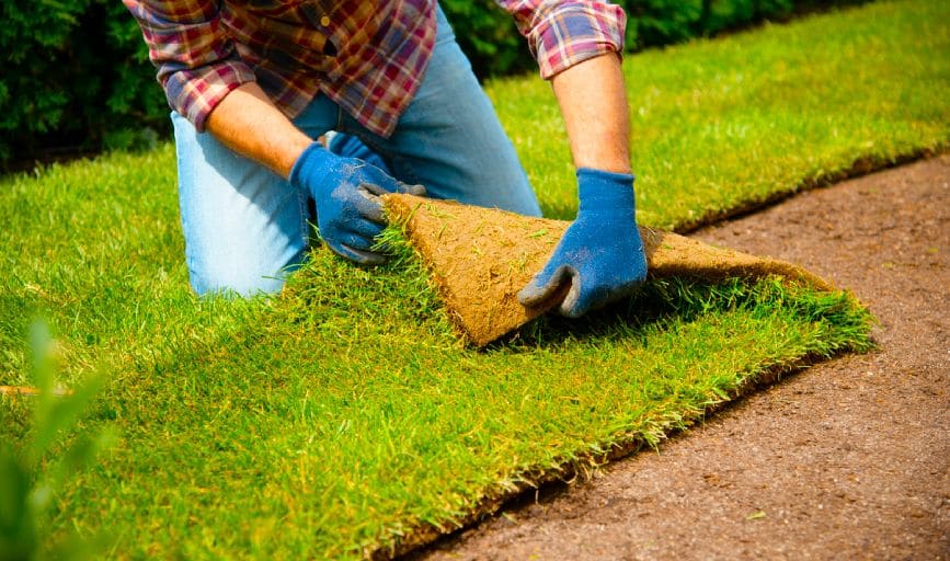 Sod Installation