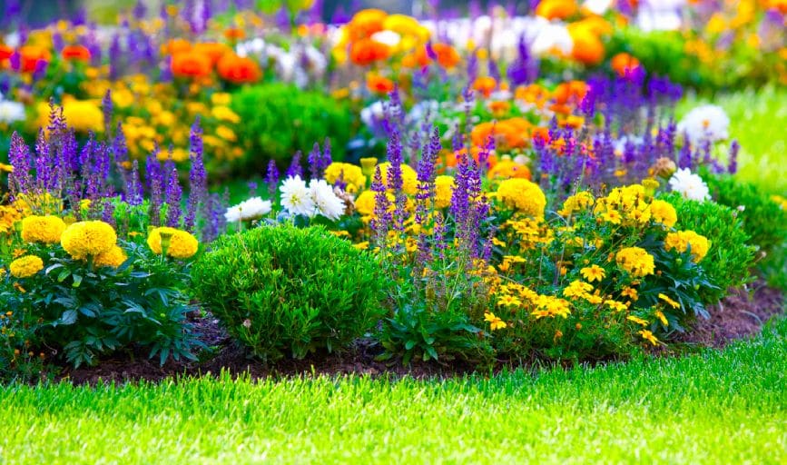 Flower Bed Installation
