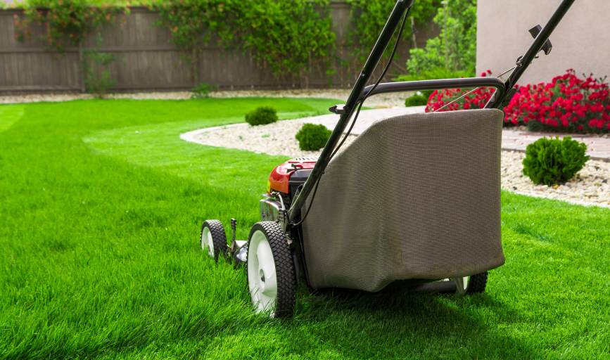 South Cali Landscaping