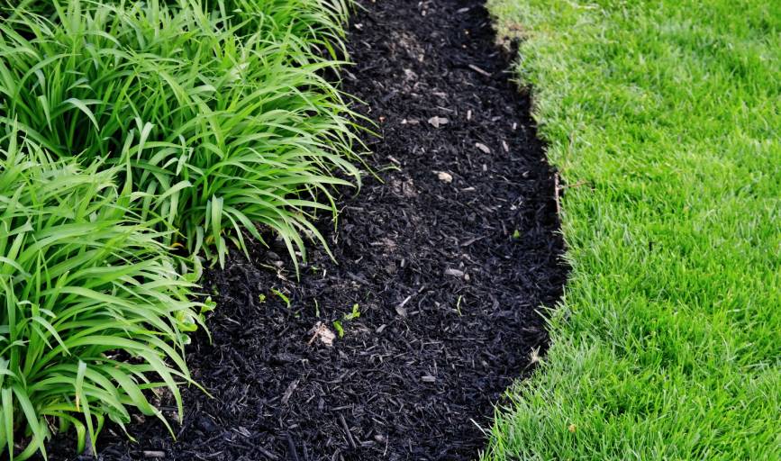 South Cali Landscaping