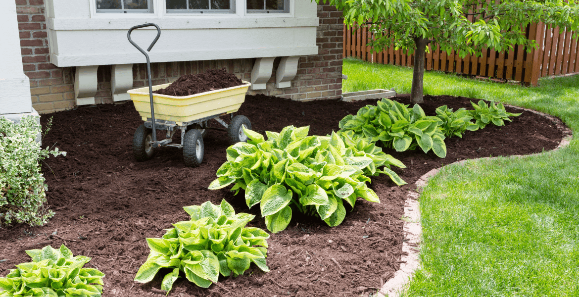 Mas Vida Landscaping