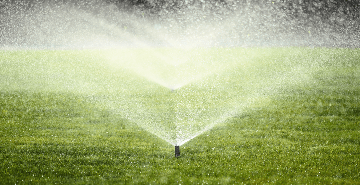 Mas Vida Landscaping