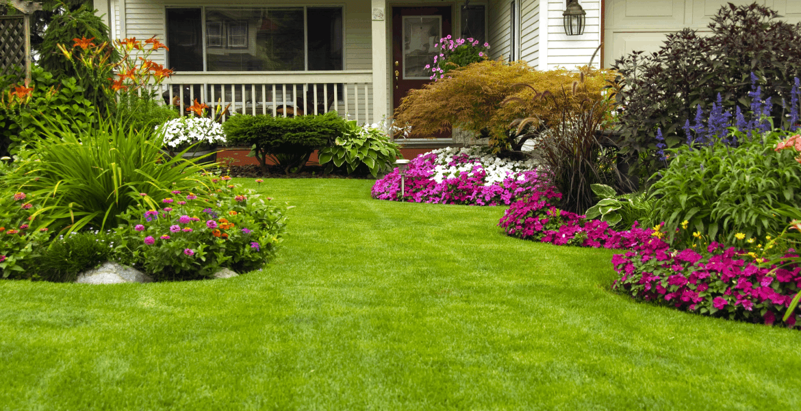 Mas Vida Landscaping