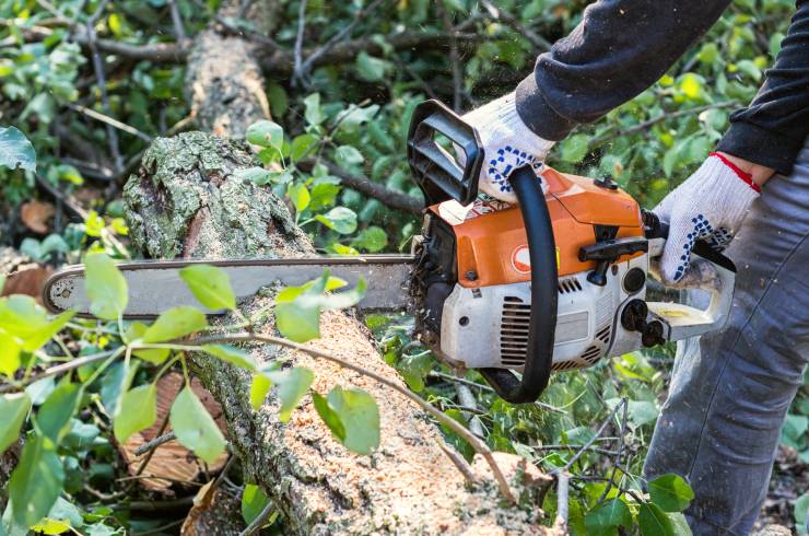 Landform Landscaping