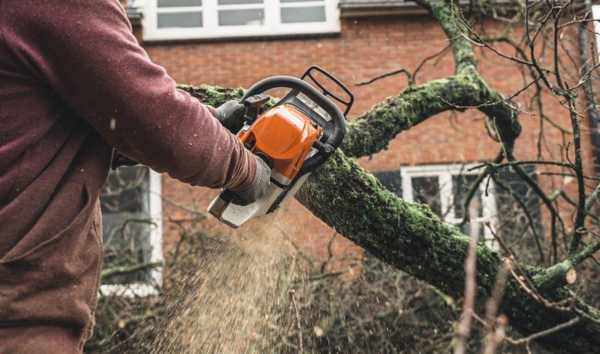 Landform Landscaping