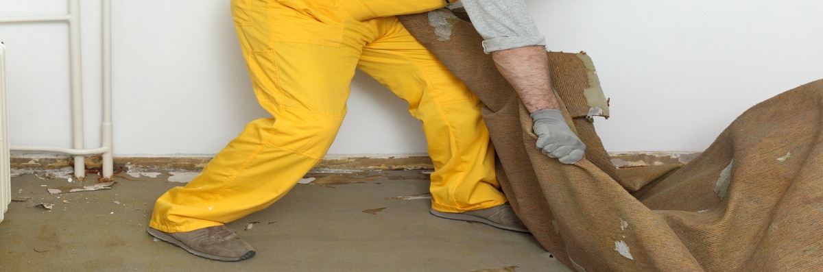Carpet Removal