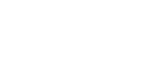 Max The Painter