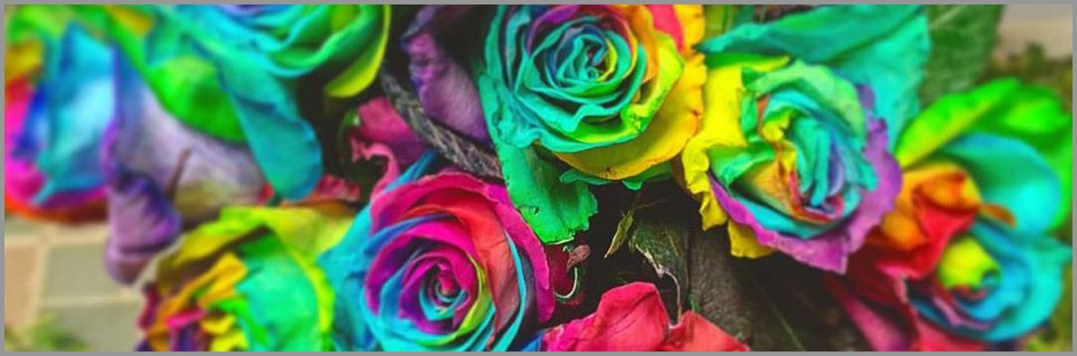 Roses