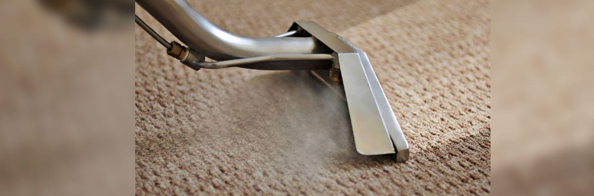 Carpet Cleaning