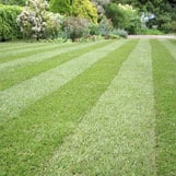 Mowing & Maintenance