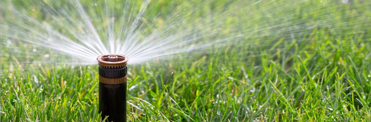 Sprinkler Installation