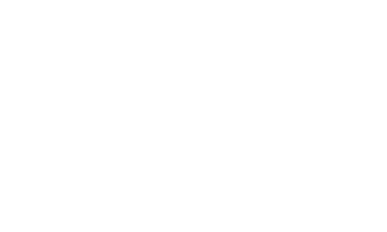 El Terco Leon