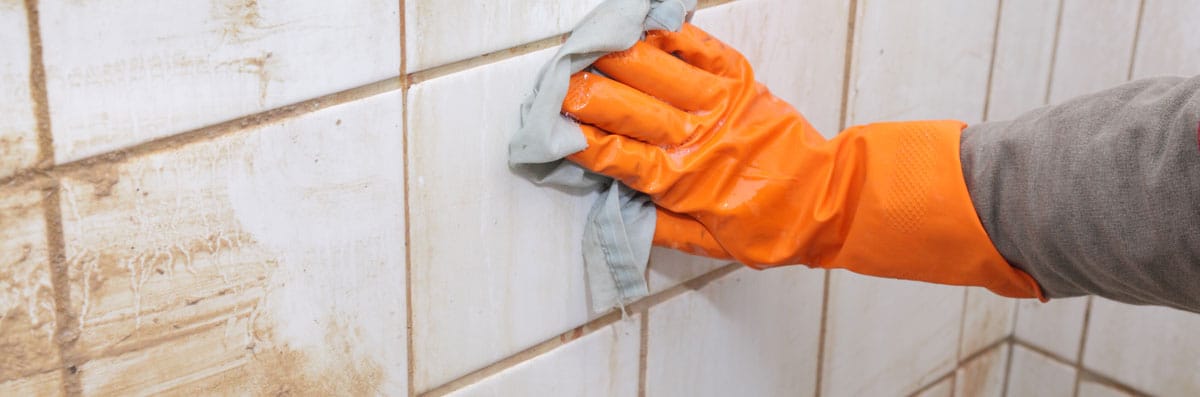 Deep Cleaning