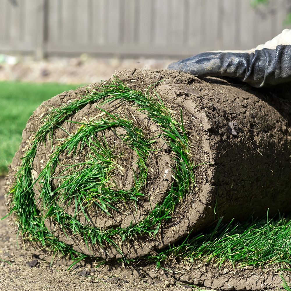 SOD INSTALLATION