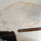 Mold Remediation
