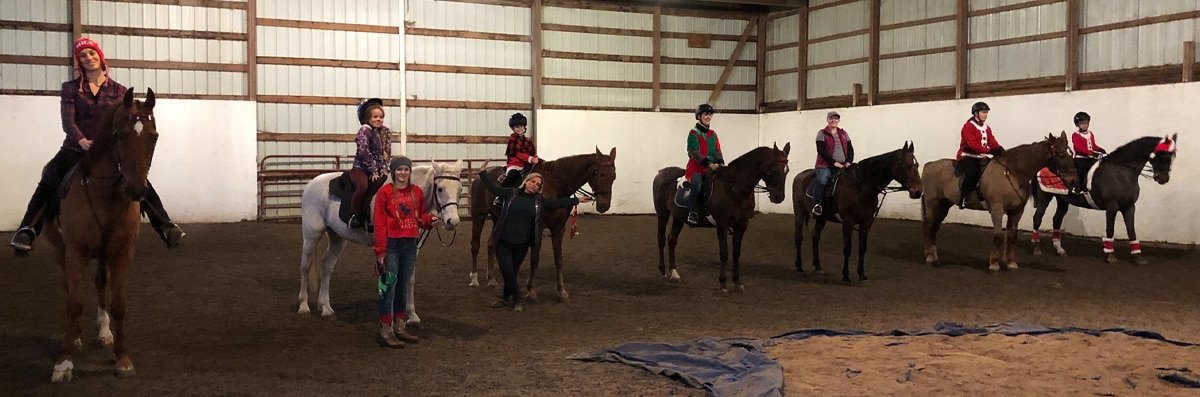 Horse Lessons