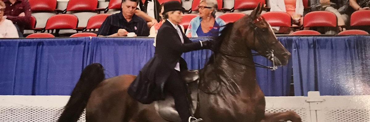 Horse Showing