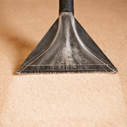 Carpet Cleaning