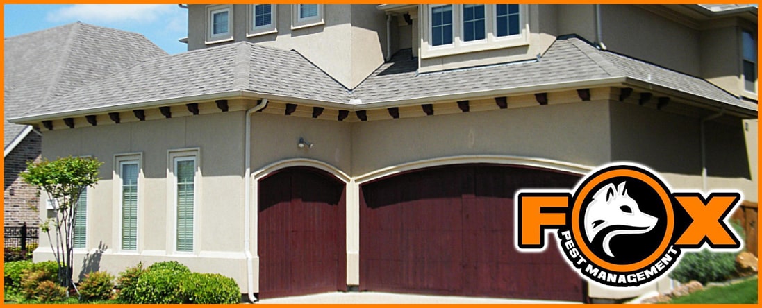 Residential Pest Management