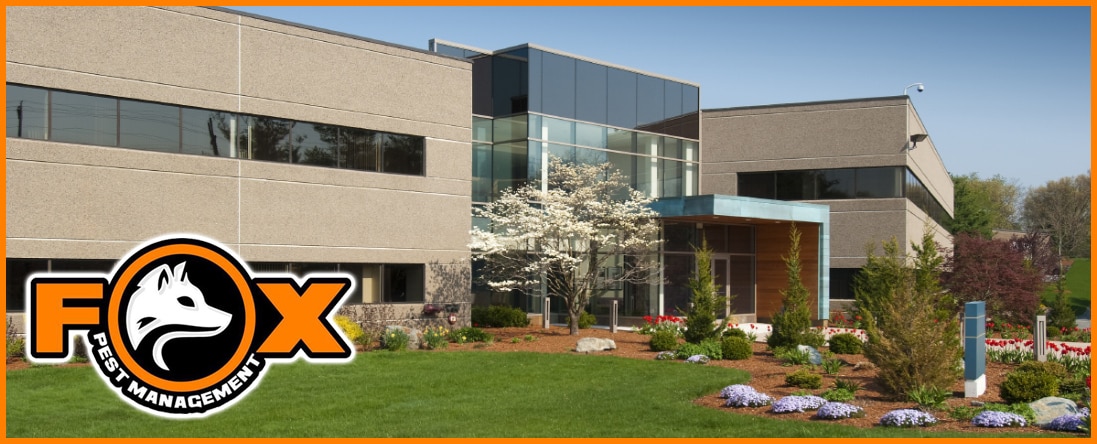 Commercial Pest Control