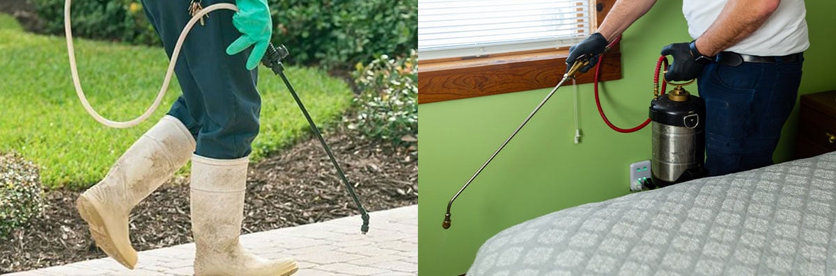 Residential Pest Control