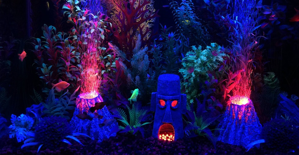 5 Star Aquariums is a Aquarium Store in Oceanside, CA