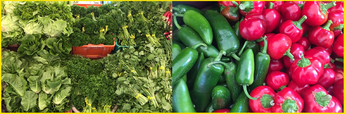 Organic Vegetables
