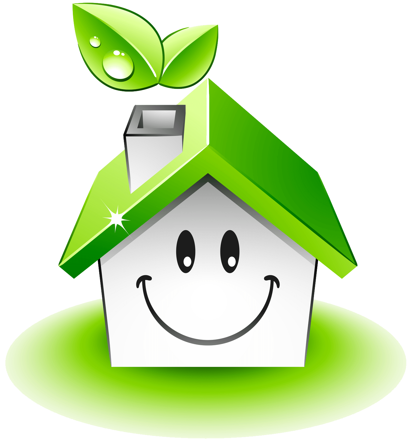 L & J House Cleaning