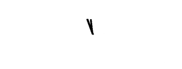 Pho 79 Bistro