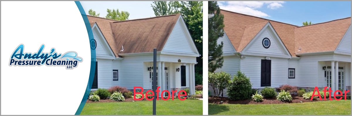 No Pressure Roof Cleaning