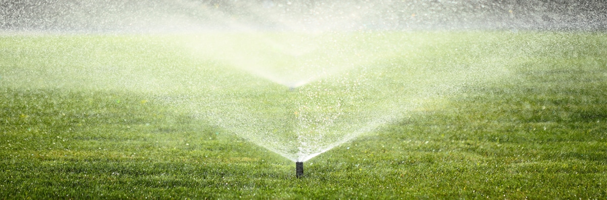 Sprinkler System Upgrades