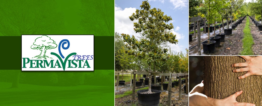 Tree Planting
