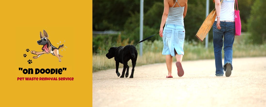 Dog Waste Removal