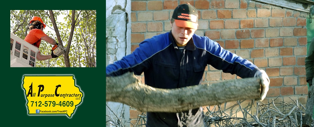 Tree Removal